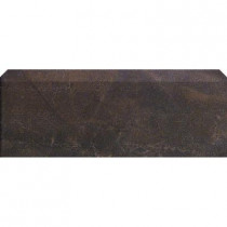 U.S. Ceramic Tile Argos 3-3/4 in. x 13 in. Antracita Ceramic Bullnose Floor and Wall Tile-DISCONTINUED