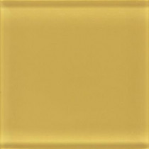 Daltile Glass Reflections 4-1/4 in. x 4-1/4 in. Honey Bee Glass Wall Tile (4 sq. ft. / case)-DISCONTINUED