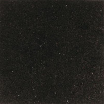 Daltile Galaxy Black 12 in. x 12 in. Natural Stone Floor and Wall Tile (10 sq. ft. / case)