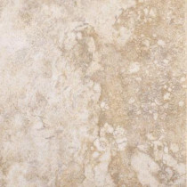 MARAZZI Campione 20 in. x 20 in. Armstrong Porcelain Floor and Wall Tile (16.15 sq. ft. / case)