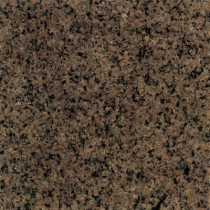 Daltile Tropical Brown 12 in. x 12 in. Natural Stone Floor and Wall Tile (10 sq. ft. / case) - DISCONTINUED