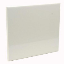 U.S. Ceramic Tile Color Collection Bright Bone 6 in. x 6 in. Ceramic Wall Tile (12.5 sq. ft. / case)