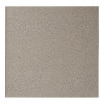 Daltile Quarry Ashen Gray 6 in. x 6 in. Abrasive Ceramic Floor and Wall Tile (11 sq. ft. / case)