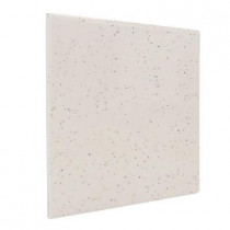 U.S. Ceramic Tile Bright Granite 6 in. x 6 in. Ceramic Surface Bullnose Corner Wall Tile-DISCONTINUED