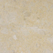 MS International 18 in. x 18 in. Desert Sand Marble Floor and Wall Tile-DISCONTINUED