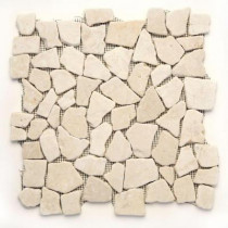 Solistone Indonesian Jakarta Moon 12 in. x 12 in. x 6.35mm Natural Stone Pebble Mesh-Mounted Mosaic Tile (10 sq. ft. / case)