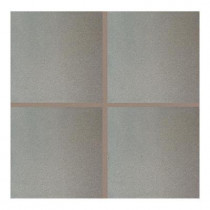Daltile Quarry Ashen Flash 8 in. x 8 in. Ceramic Floor and Wall Tile (11.11 sq. ft. / case)