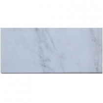 Splashback Tile Oriental 24 in. x 12 in. Marble Floor and Wall Tile-DISCONTINUED