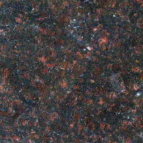 MS International Victorian Brown 18 in. x 18 in. Polished Granite Floor and Wall Tile (9 sq. ft. / case)