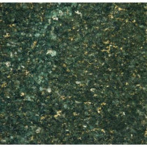 MS International Verde Ubatuba 18 in. x 18 in. Polished Granite Floor and Wall Tile (9 sq. ft. / case)