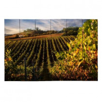 Tile My Style Vineyard3 36 in. x 24 in. Tumbled Marble Tiles (6 sq. ft. /case)